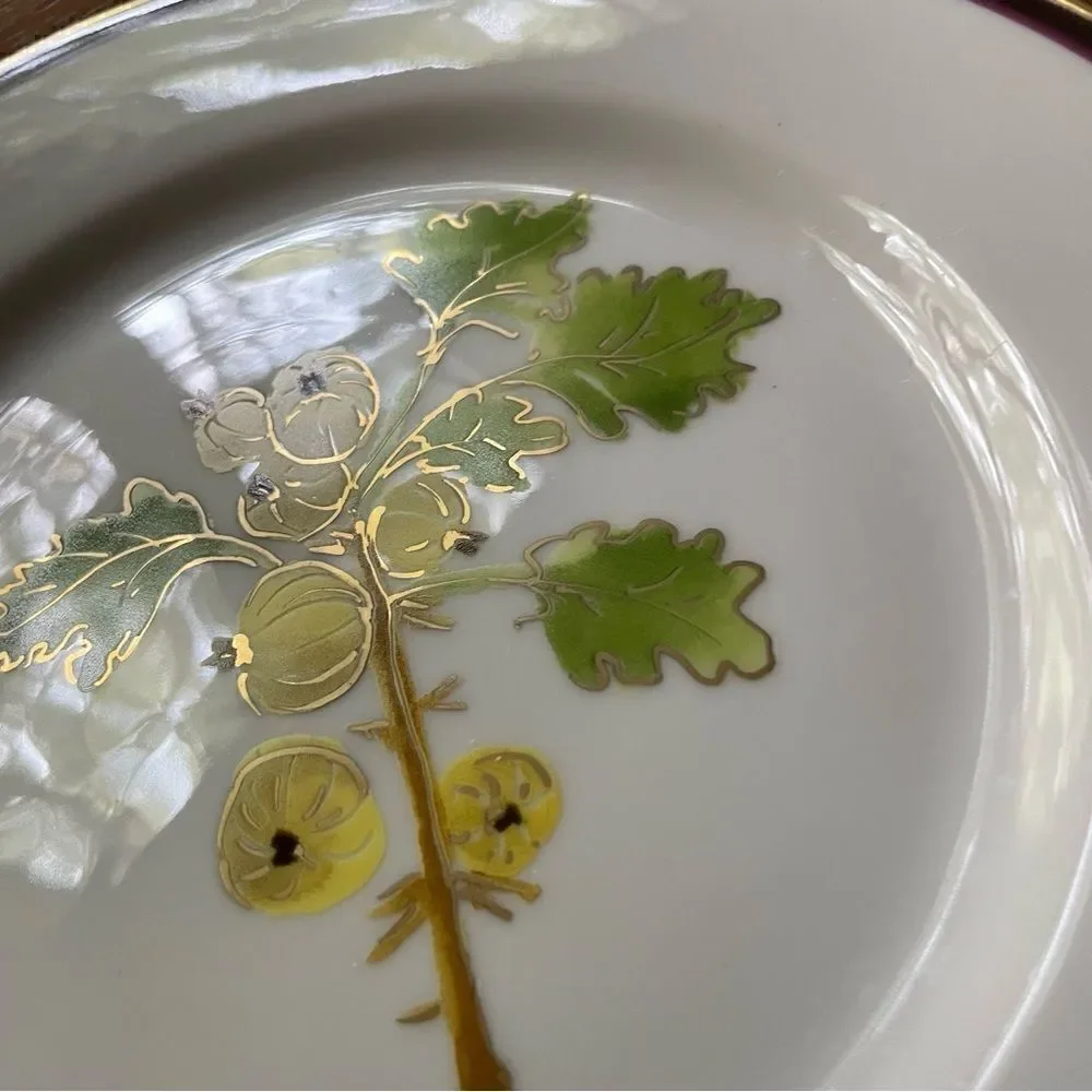 Crate & Barrel Monno Berries Salad Plate
